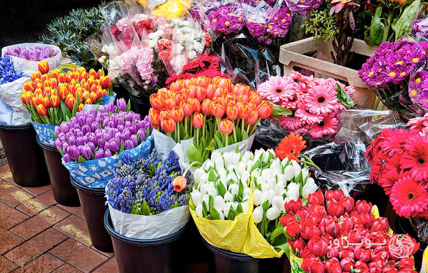 گل‌های بازار گل خیام مشهد